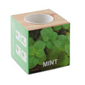 MENTA – Herb pot wood "MINT" – Wood