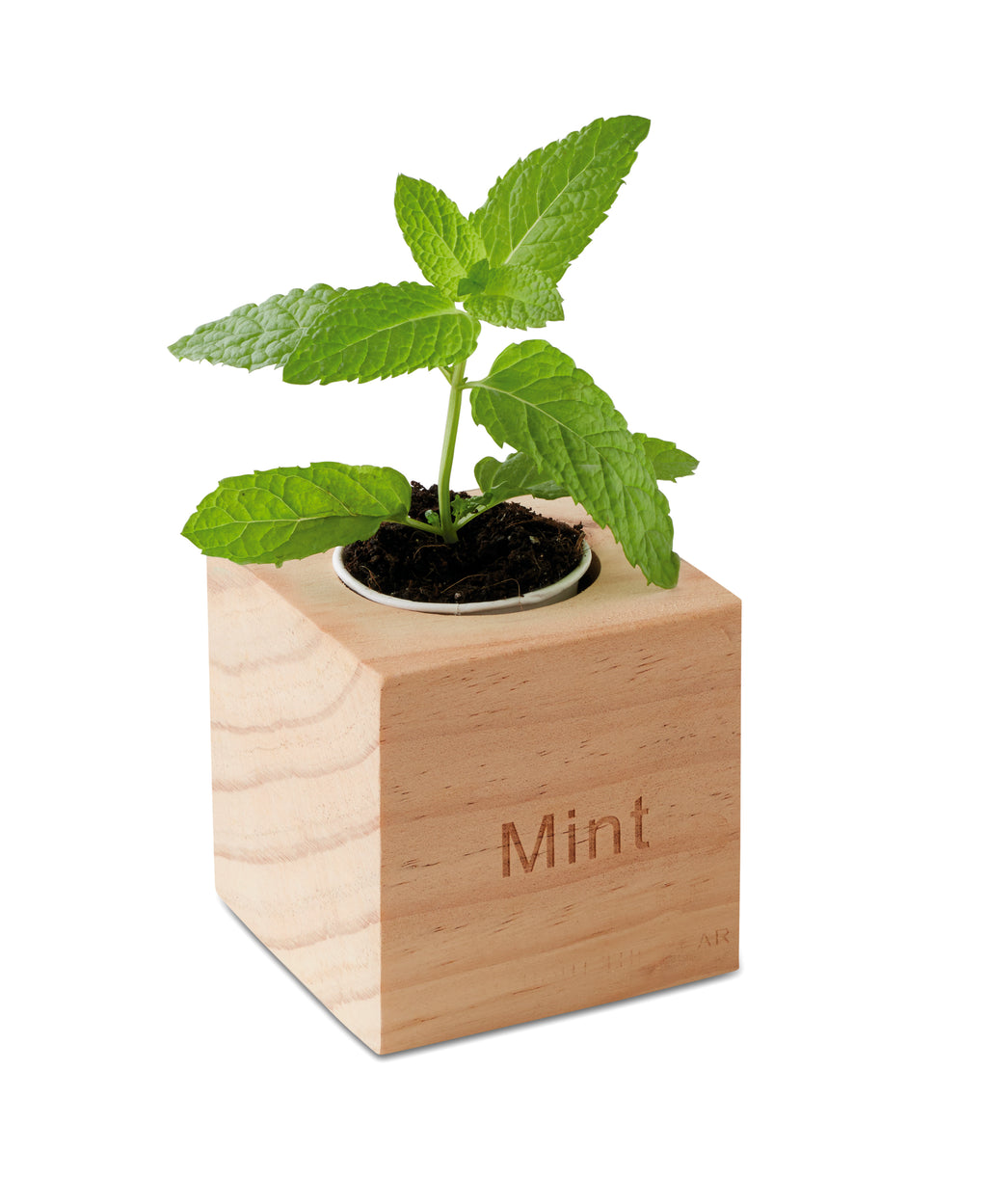MENTA – Herb pot wood "MINT" – item picture side