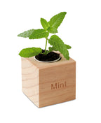 MENTA – Herb pot wood "MINT" – item picture side