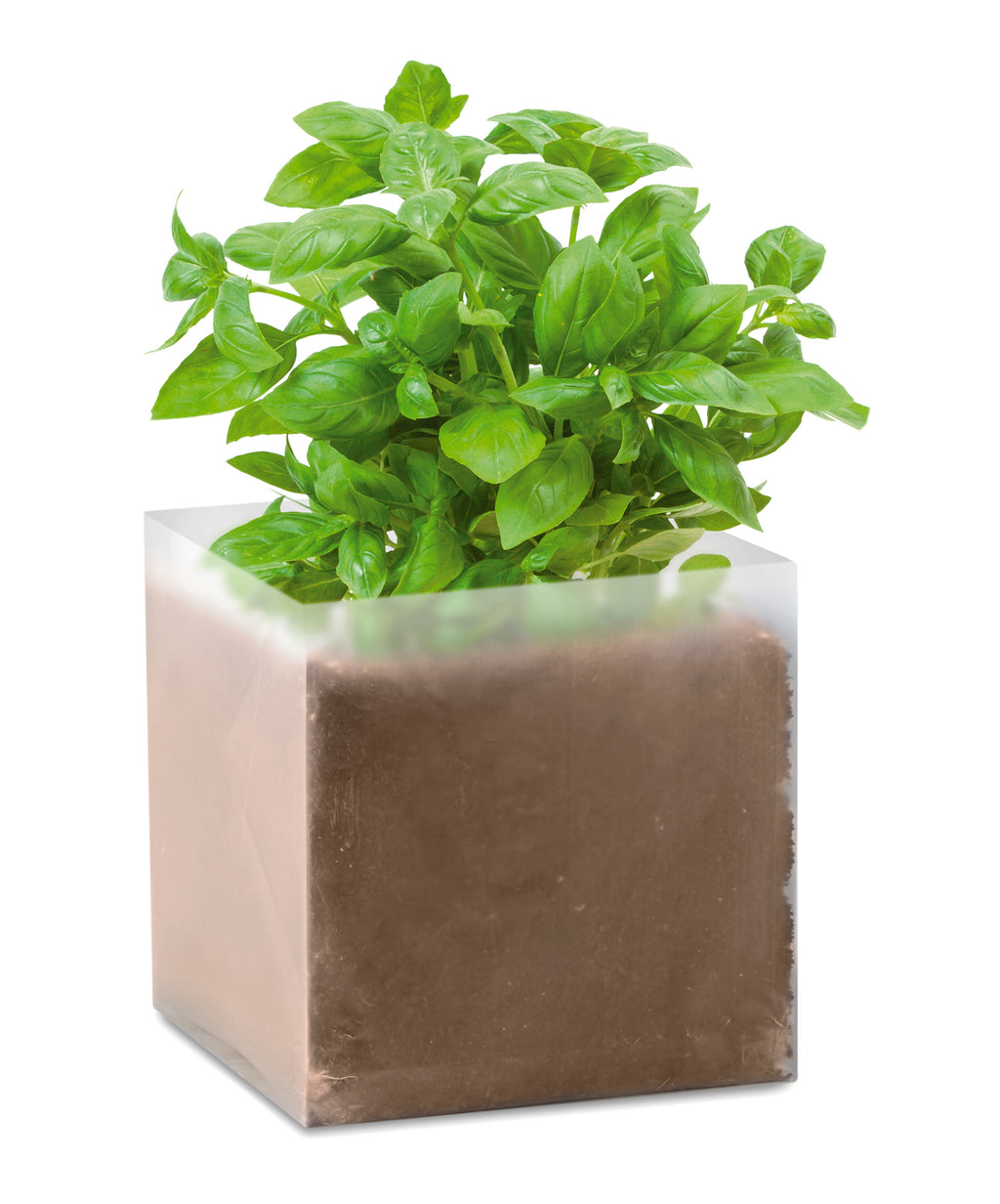 BASIL – Compost with seeds "BASIL" – Beige