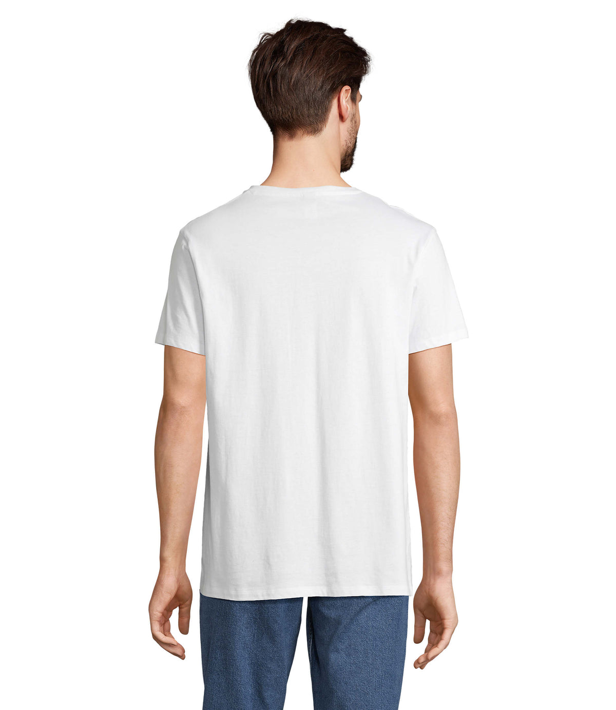 REGENT V – REGENT V  V-NECK T-SHIRT – item picture back